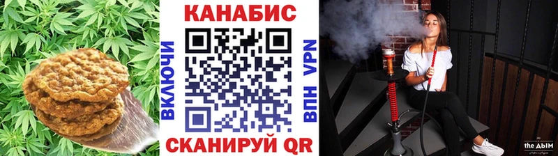 где купить наркоту  Волгодонск  ОМГ ОМГ маркетплейс  Печенье с ТГК марихуана 