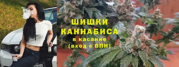 spice Верхний Тагил